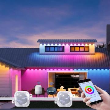 30mm LED Pixel Light Strands with 12 Volt and APP C Compatibility