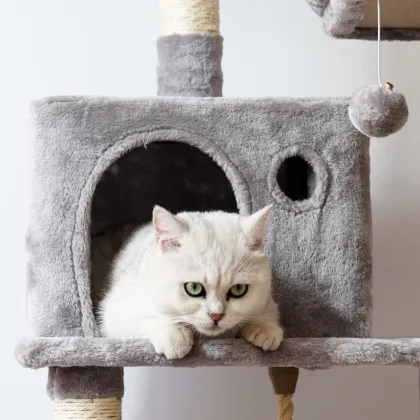 Multi-layer Customized Large Size Wooden Cat Tree