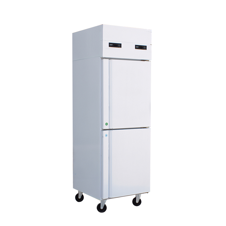 Household Hotel Use Frozen Storage Freezer Household Hotel Use Frozen Storage Freezer