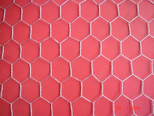 Galvanised Hexagonal Wire Mesh/Netting