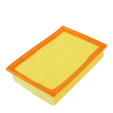 Car Air Filter Replacement for LANDROVER LR005816 LR000920 LR003011 6G929601AB