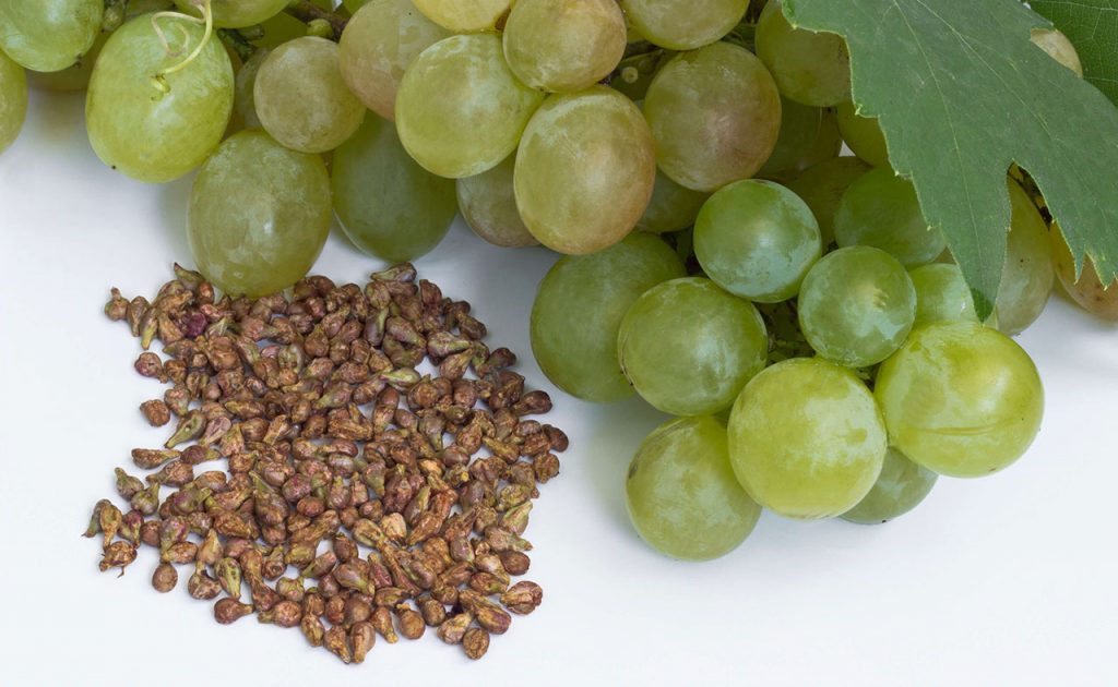 grape extract