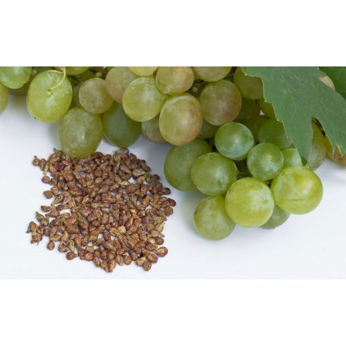 High Quality Grape Powder Extracts