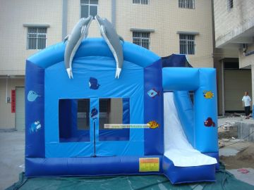 Inflatable Castle