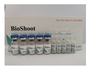 Rabies Vaccine for Toddlers