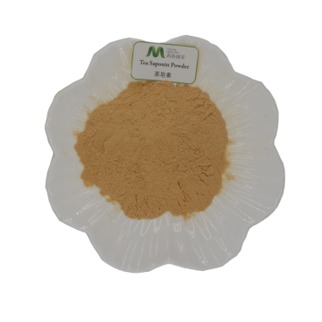Teamag kivonat tea saponinok por 60%-90%