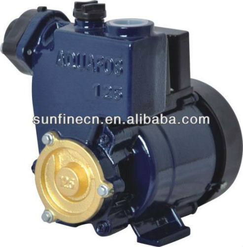 Peripheral clean water pump