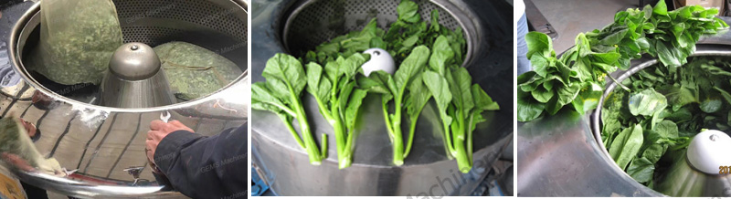 vegetable centrifuge