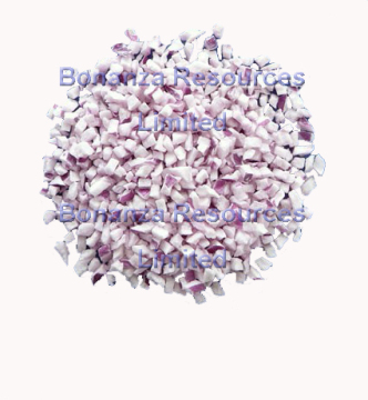 Freeze Dried Reg Onion