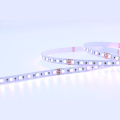 5050SMD 70led RGB أضواء قطاع مرنة