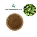 Premium Stemona Root Extract for Natural Health and Wellness