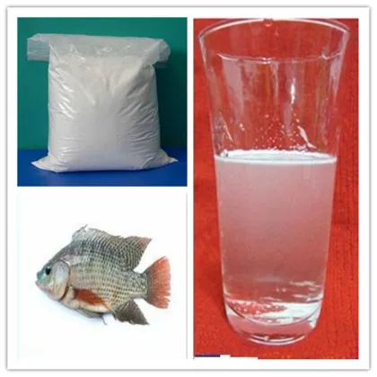 Hydrolyzed Fish Collagen Peptide(FCP)