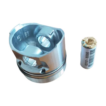 DEUTZ Engine BF4M2011 Piston Assembly with 6 Months Warranty