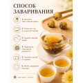 Хризантема Черный чайный шарик