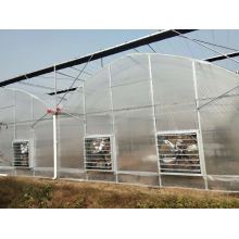 Skyplant Commerical PE Film Multispan Greenhouse