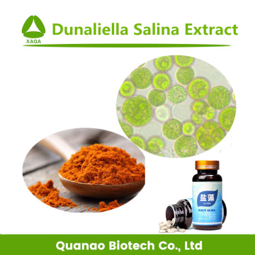 Salt Algae Dunaliella Salina Extract Beta Carotene 1%