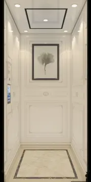 AS certificate IFE Residential Commercial Passenger Elevator