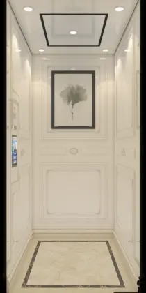 Energy Saving Environmental Protection Residential Elevator