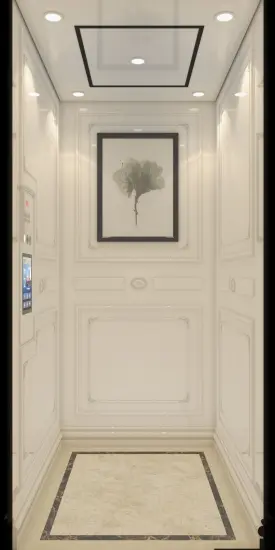 Energy Saving Environmental Protection Residential Lift