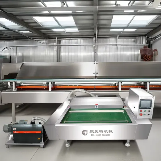 Electric Belt Type Stainless Steel Vacuum Packing Machine for Food Packaging
