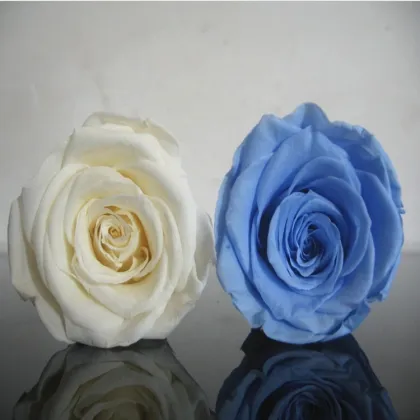 Black Preserved Rose Heads 5-6cm - Wholesale Wedding Flowers from Kunming