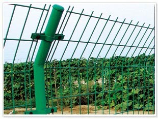 Fencing with Double Wire