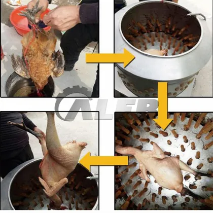 Time-Efficient Automatic Duck, Goose, and Poultry Tunnel Plucker: A Convenient Goose, Chicken, and Poultry Processing Machine