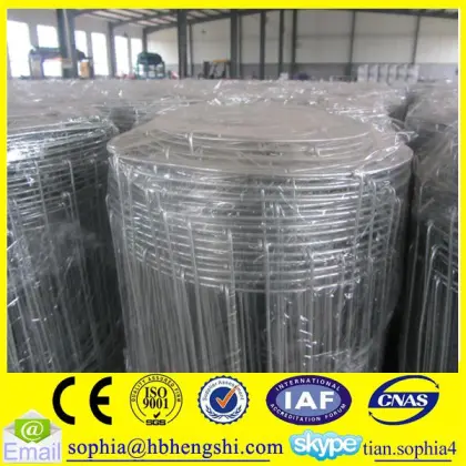 durability farm field fence/high tensile game fence/grassland field fence                        
                                                                                Supplier's Choice