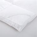 /msite/products/detail/productid/62144024/id/1497224.html