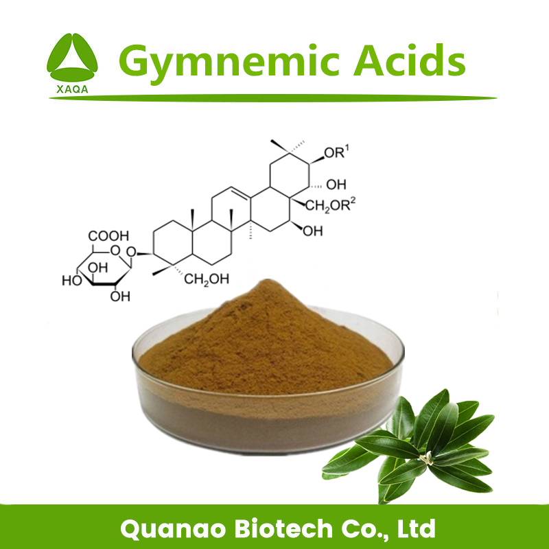 Gymnema sylvestre استخراج أحماض الأحماض الرياضية 25 ٪