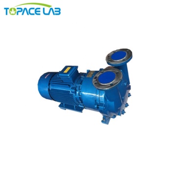 High Pumping Rate Vacuum Pump for Stainless Steel Reactor - 2024 Hot Sale at Good Price