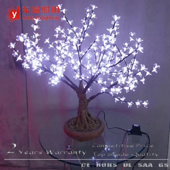 Cherry blossom bonsai tree