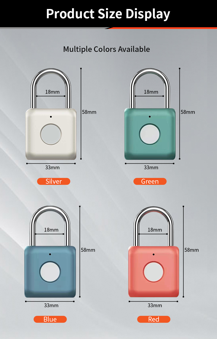 smart Fingerprint pad lock