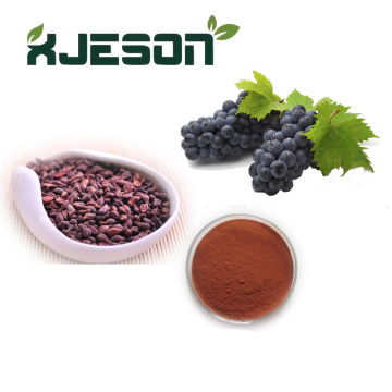 Grape Seed Extract powder