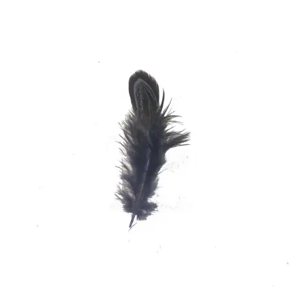Hot Sale Dyed Pheasant Feather