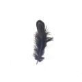 Hot Sale Dyed Pheasant Feather