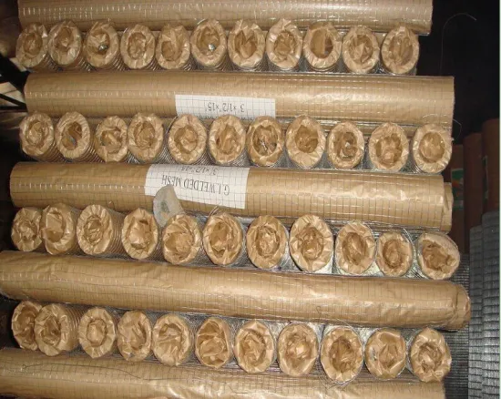Hot Dipped Galvanized Corrosion Resistance Welded Wire Mesh Fence Bwg 12mm, 13mm, 14mm