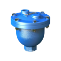 Air Release Valve DN100