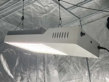 Indoor Sunlight Growing Lamps Grow Healthy Plants