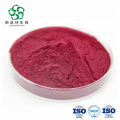 Extrait de baies Aronia Berry soluble en poudre de cerise sauvage soluble