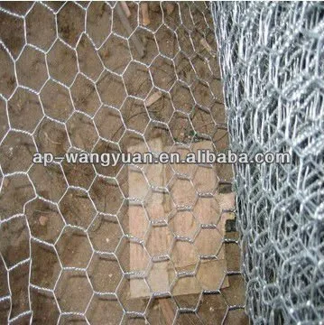 Anping Stainless Steel Hexagonal Wire Mesh