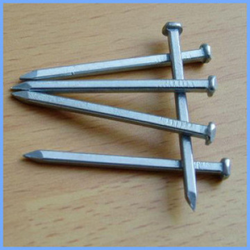 Galvanized Square Boat Nails