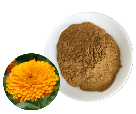 Calendula-officinalis-extract