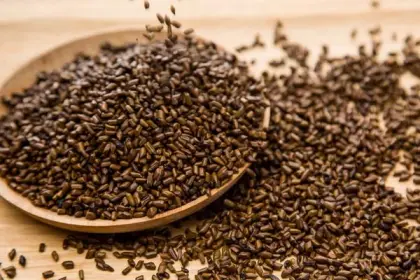 Lose weight cassia angustifolia seed extract