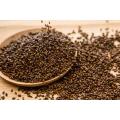 lose weight cassia angustifolia seed extract