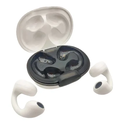 Trending 2024 Hearing Aids, TWS Earphones, and Bluetooth Headsets