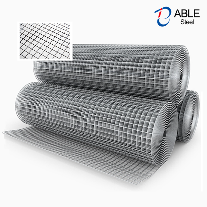 Hot Dip Galvanized Welded Wire Mesh