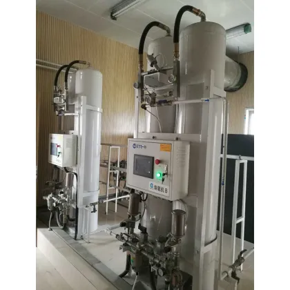Oxygen Pressure Swing Adsoption O2 Generator Price