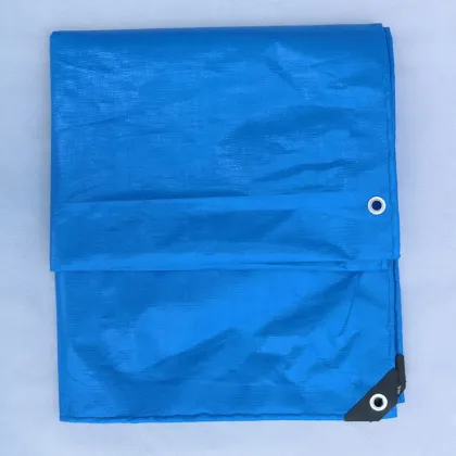 Economy PE Tarpaulin Blue 90gsm