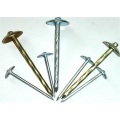 Roofing Nails Zinc Plating-coloring Roofing Nails Supplier